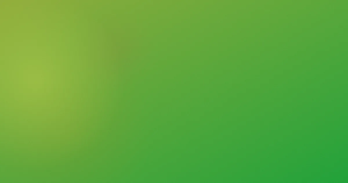 浪漫满屋演员表避坑深解析